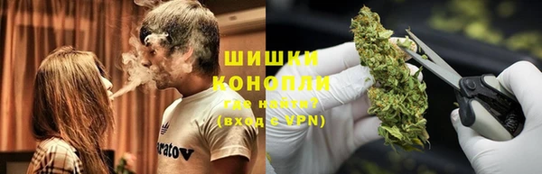 ПСИЛОЦИБИНОВЫЕ ГРИБЫ Алзамай