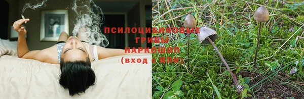 метадон Алексеевка